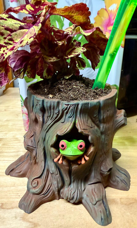 Frog in a Log Planter Frog in a Log Planter